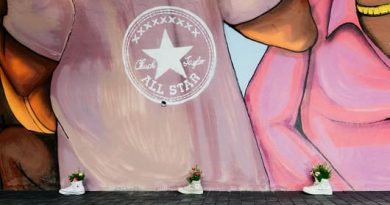 CONVERSE 11