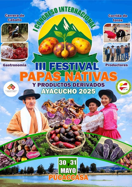 Cocineros de ENBHIGA Perú participarán en el III Festival de la Papa Nativa y Productos Derivados en Ayacucho 2 papa1