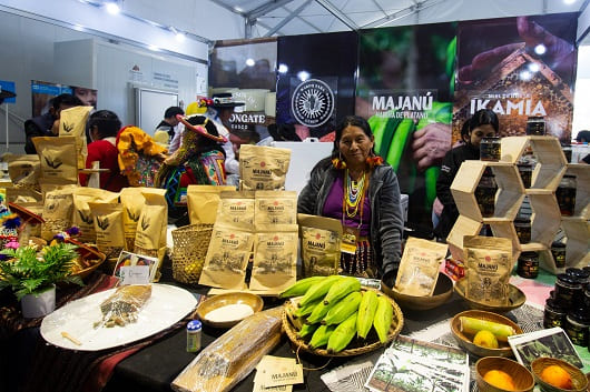 productos de Amazonas1