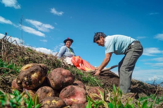 NP Imagen Dia Agricultura1