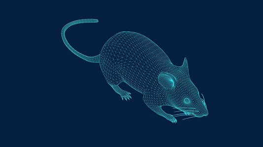 ratty