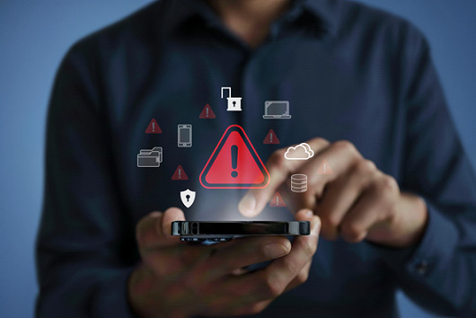 Cyberseguridad ImagenFirelfy