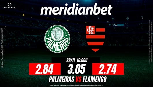 palmeiras vs flamengo copa libertadores meridianbet1