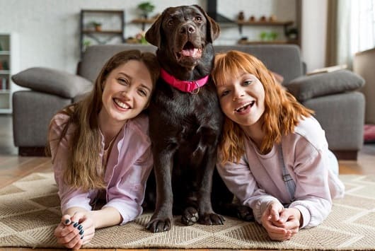 Cuidado con las zoonosis en fiestas navideñas por dormir con mascotas 1 Mascotas y zoonosis1