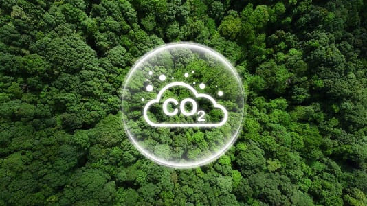 Agricultura sostenible: el potencial del campo peruano para reducir emisiones de carbono 1 CO2 Agro1
