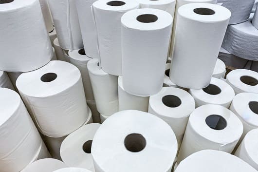 La evolución sostenible del papel higiénico en Latinoamérica 1 Imagen1 La evolucion sostenible del papel higienico en Latinoamerica1