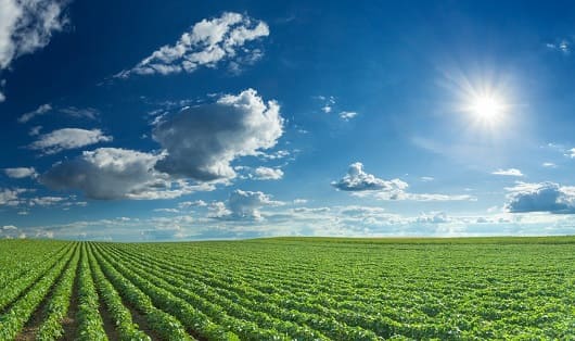 Agro peruano impulsa tecnología para cuidar el agua 1 Imagen1
