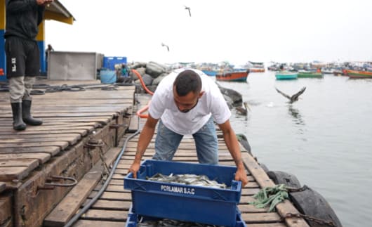 Alimentos Marinos Porlamar 411