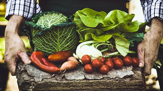 Dia Mundial de la Salud1