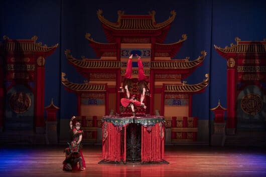 Gran Circo de China JRC 465211