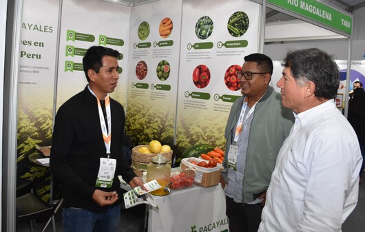 Alimentos en Peru 411