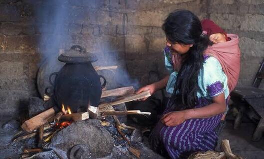 Hogares rurales aún cocinan con leña 1 Foto 111