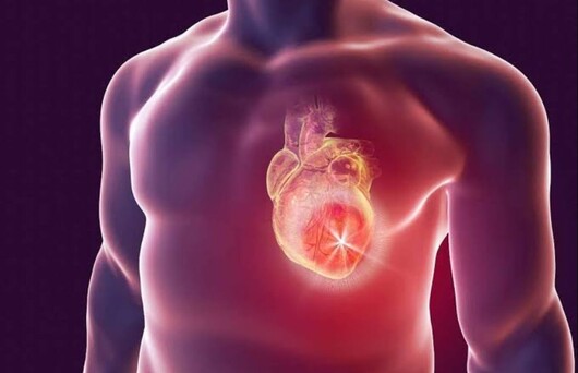 Salud del corazón en riesgo por el ritmo de vida actual 1 infartos corazon1