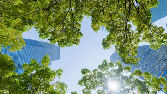 Kimberly-Clark logra reducir 50% uso de fibra de bosques 1 perspective exterior pattern blue glass wall modern buildings with green tree leaves111