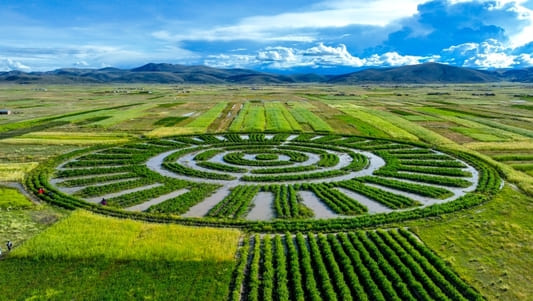 Waru waru en Puno: tecnología agrícola ancestral contra el fenómeno El Niño 1 1092609 dji 034811