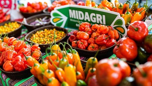 Perú produce más de 200 mil toneladas de ajíes al año y MIDAGRI impulsa su consumo 1 1439315 whatsapp image 2026 09 04 at 12 29 24 pm11
