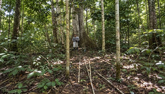 Loreto alcanza 33 Áreas de Conservación Privada a nivel nacional 1 1443050 acp 1111