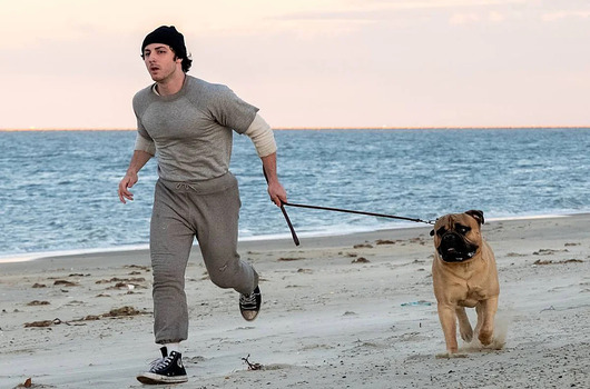 YO SOY ROCKY