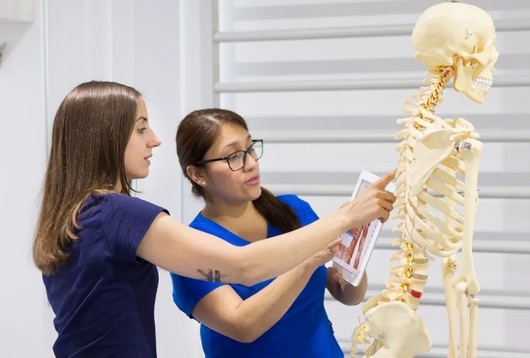 Señales de alerta del dolor recurrente que no debes ignorar 1 Total Therapy foto11